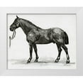 thumbnail image 1 of Stellar Design Studio 31x26 White Modern Wood Framed Museum Art Print Titled - Horse Study 4, 1 of 4