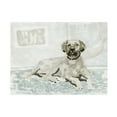 thumbnail image 1 of Stellar Design Studio 'Dog Study I' Canvas Art, 1 of 3