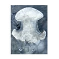 thumbnail image 1 of Stellar Design Studio 'Indigo Jellyfish II' Canvas Art, 1 of 3