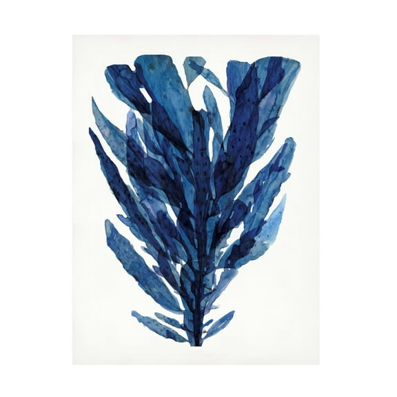 Stellar Design Studio 'Indigo Ocean II' Canvas Art