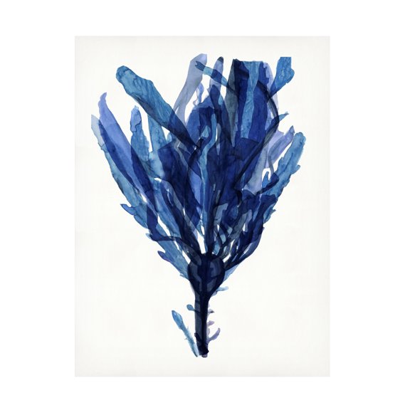 Stellar Design Studio 'Indigo Ocean IV' Canvas Art