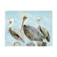 thumbnail image 1 of Stellar Design Studio 'Soft Brown Pelican III' Canvas Art, 1 of 3
