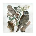 thumbnail image 1 of Stellar Design Studio 'Traditional Owls II' Canvas Art, 1 of 3