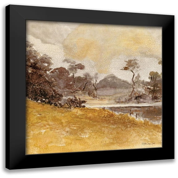 Stellar Designs Studio 12x12 Black Modern Framed Museum Art Print Titled - Traditional Landscape 2
