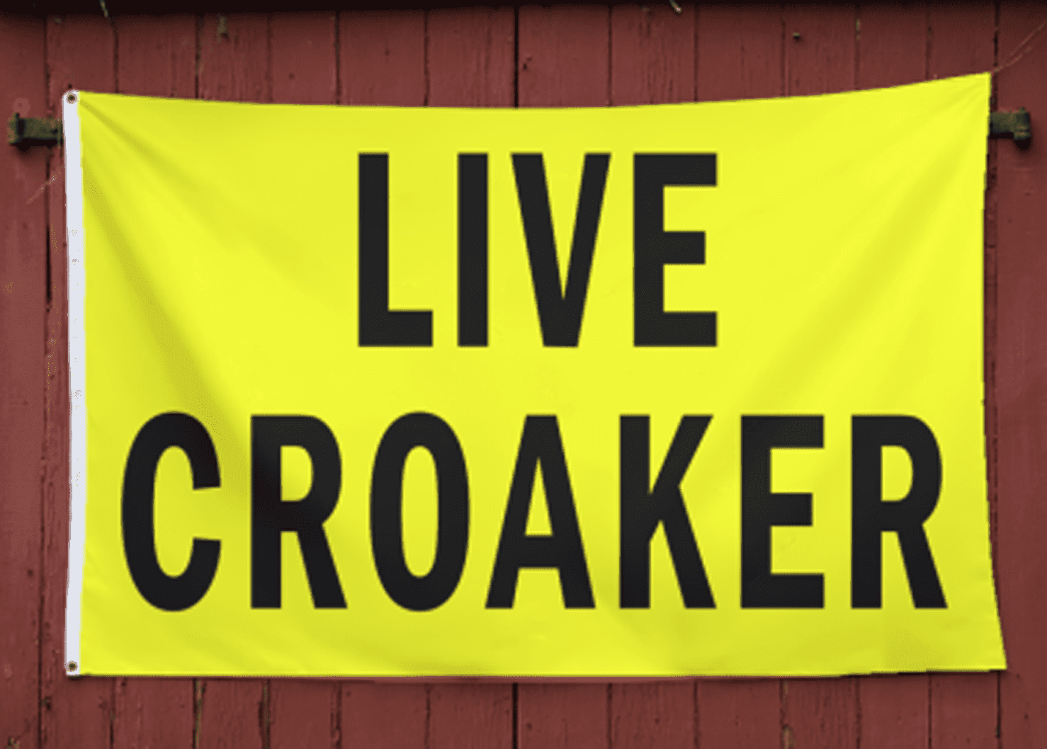 Stellar 3' x 5' Polyester Live Croaker Flag, Outdoor Bait Store ...