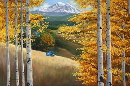 Stellar Jays Canvas Art - Julie Peterson (12 x 18)
