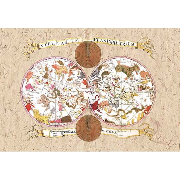 Stellatum Planispherium Fine art canvas print (20" x 30")