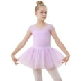 thumbnail image 1 of Stelle Ballet Leotard Mesh Cap Sleeveless Tutu Skirted Ballerina Dress Outfit for Girls,Lavender,4T, 1 of 8