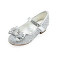 thumbnail image 1 of Stelle Girls Mary Jane Glitter Shoes Low Heel Princess Dress Shoes,Toddler Little Girls Crown Flower Girl Wedding Party Dress Pump Shoes,Sliver, 1 of 6