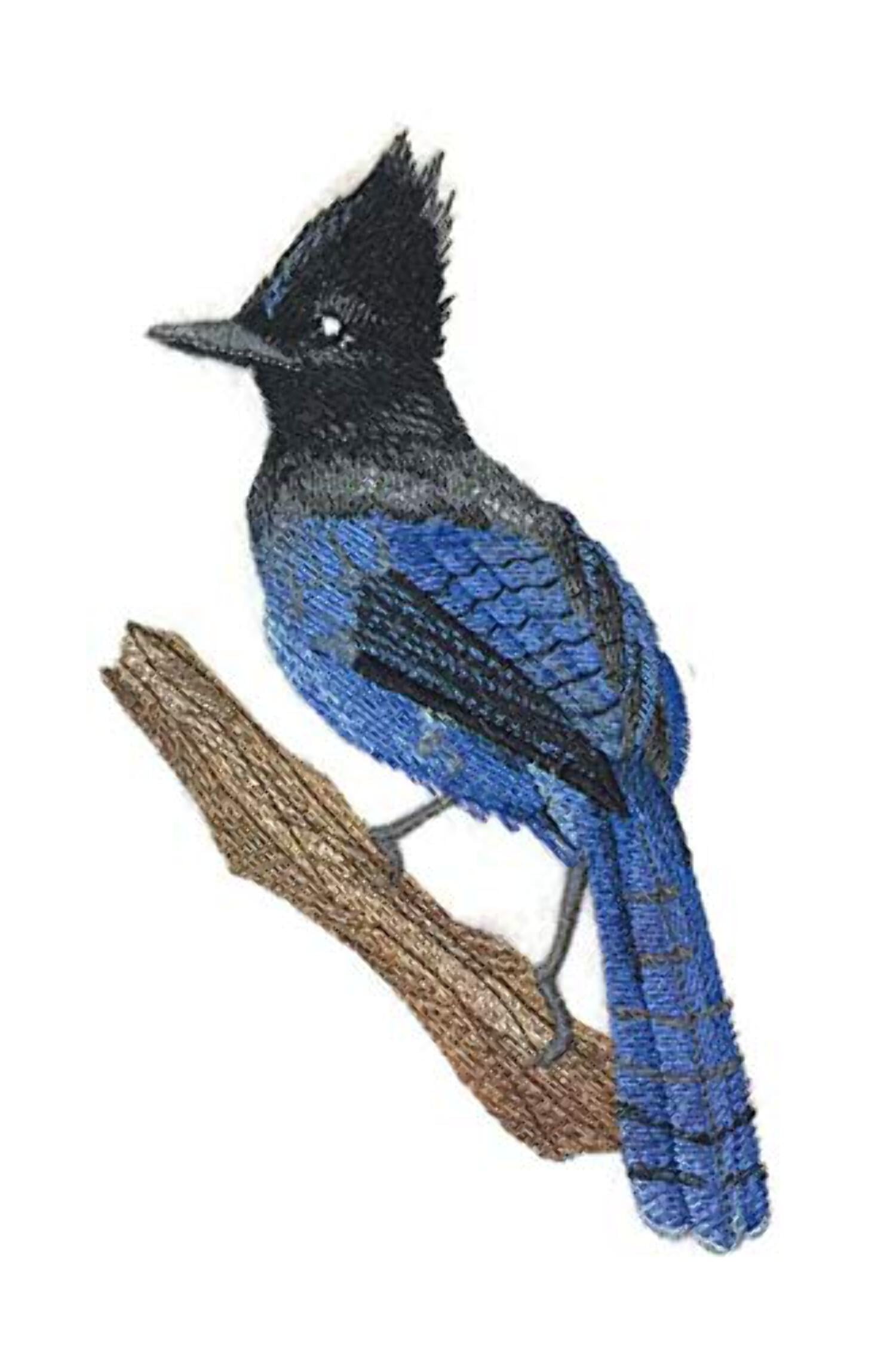 Steller's Jay on Branch Embroidered Iron on/Sew Patch [4.1" x 6.83"]