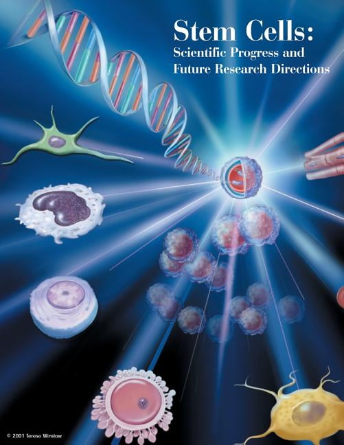 Stem Cells: Scientific Progress and Future Research Directions ...