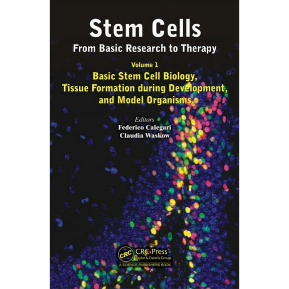Stem Cells Stem Cells: From Basic Research to Therapy, Volume 1: Basic Stem Cell Biology, Tissue Formation During Development, and , (Hardcover)