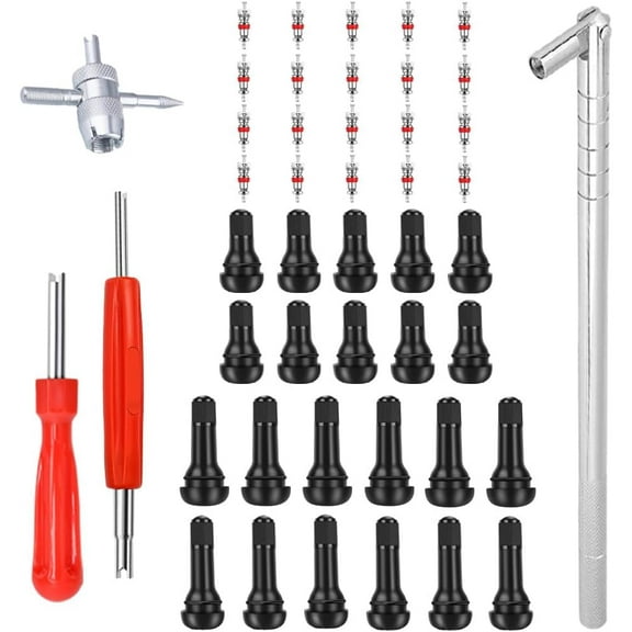 Stem Puller and Installer - 10pcs TR412, 6pcs TR413, TR414 Short Rubber Tire Valve Stems, 4 Way Single Head Core Remover Tool