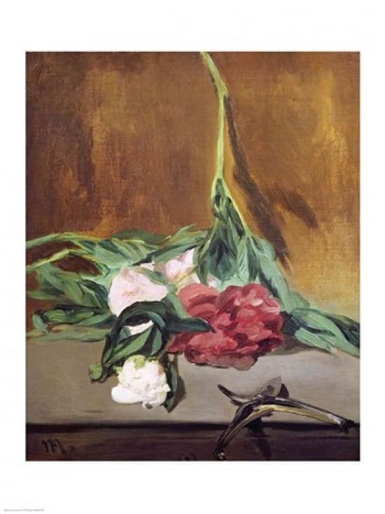 Stem of Peonies and Secateurs c1864 Canvas Art - Edouard Manet (18 x 24)