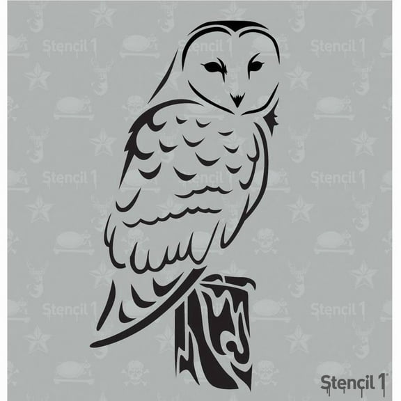 Stencil1 Barn Owl Bird Stencil Art Craft - 5.75" x 6"