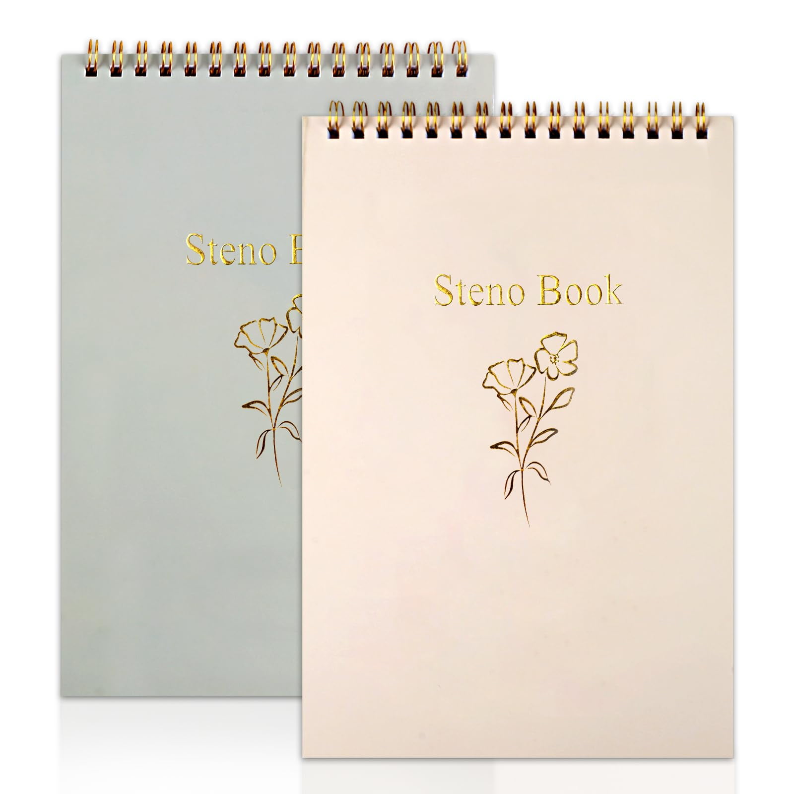 Steno Pads 2P