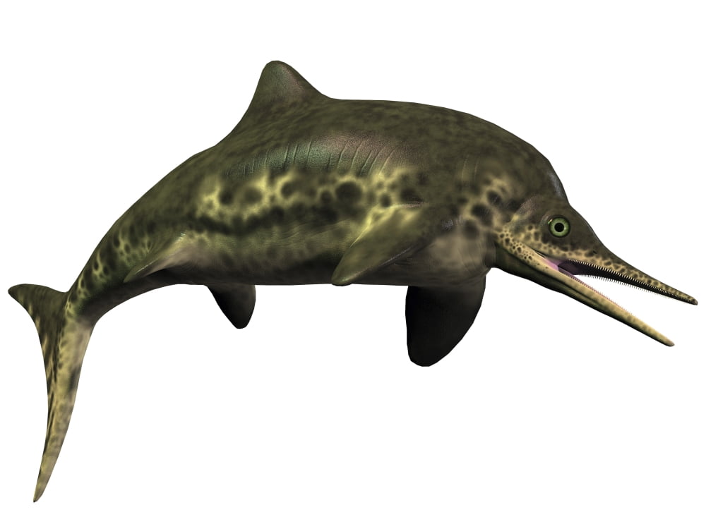 Stenopterygius was an ichthyosaur from the Jurassic Period Canvas Art - Corey FordStocktrek Images (33 x 25)