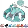 thumbnail image 1 of Step in Dog Harness and Leash Set - Summer No Pull Escape Proof Vest Harnesses with Soft Mesh and Reflective Bands, Adjustable Pet Outdoor Harnesses for Small and Medium Dogs, 1 of 7