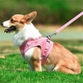 thumbnail image 1 of Step In No Pull Dog Harness and Leash Set Adjustable Reflective Soft Mesh Corduroy Pet Vest for Small Dogs and Cats, 1 of 5