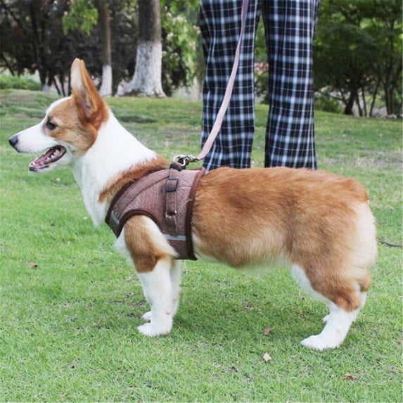 Step In No Pull Dog Harness with Leash Set Adjustable Reflective Soft Mesh Corduroy Pet Vest for Small Dogs and Cats