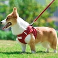thumbnail image 1 of Step In No Pull Dog Harness with Leash Set Adjustable Reflective Soft Mesh Corduroy Pet Vest for Small Dogs and Cats, 1 of 5