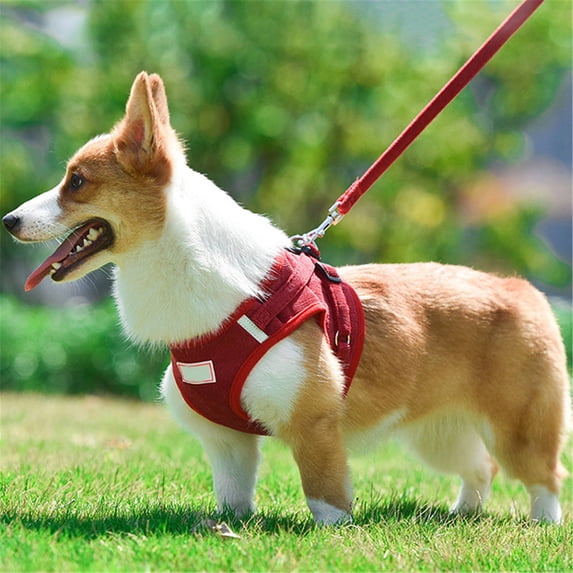 Step In No Pull Dog Harness with Leash Set Adjustable Reflective Soft Mesh Corduroy Vest for Small