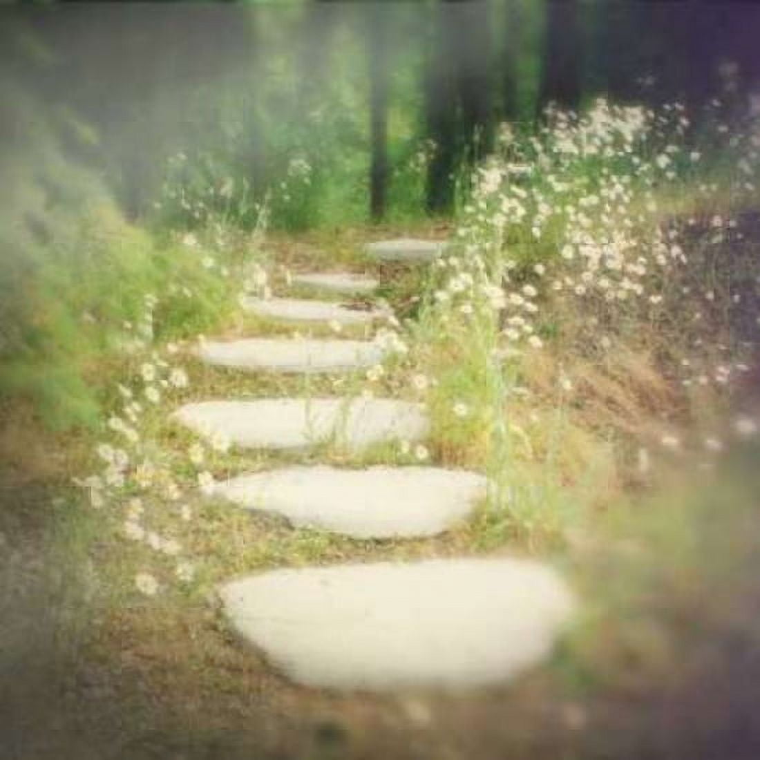 Step by Step Canvas Art - Amy Melious (24 x 24)