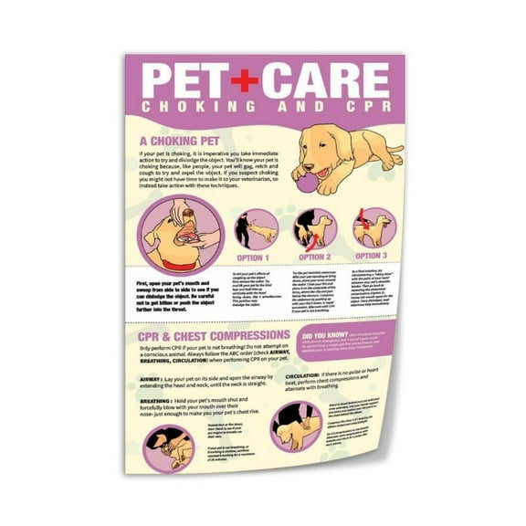 Step-by-step Guide to CPR And Heimlich Maneuver for Dogs Pet First Aid (1) Canvas Art Wall Printing Office Bedroom Aesthetic Living Room