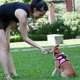 thumbnail image 1 of Step-in Cirque Dog Harness - Raspberry XXX-Small, 1 of 1