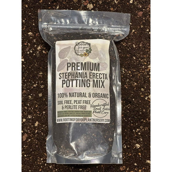 Stephania Erecta Premium Potting Mix