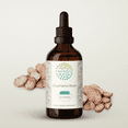 thumbnail image 1 of HerbEra Stephania Root Tincture, Herbal Dietary Supplement for Joint Comfort Support, Stephania Root (Stephania tetrandra) Dried Root Extract, Natural, Alcohol Tincture, Drops 4 oz, 1 of 6