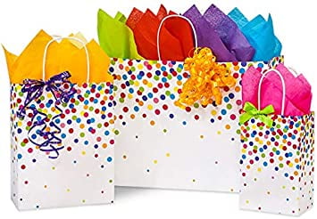 Stephanie Imports Made in USA Set of 6 Rainbow Confetti Paper Shopping Bags (3 sizes) With Tissue Paper - 100% Recyclable