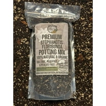 Stephanotis Floribunda Premium Potting Mix