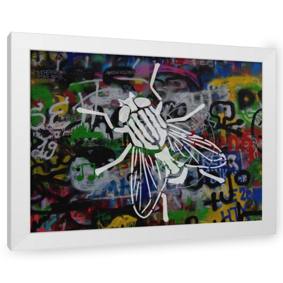 Stephen Chambers 14x12 White Modern Wood Framed Wall Art Titled - The Fly