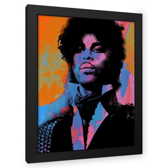 Stephen Chambers 19x24 Black Modern Wood Framed Wall Art Titled - Prince Brightcolors