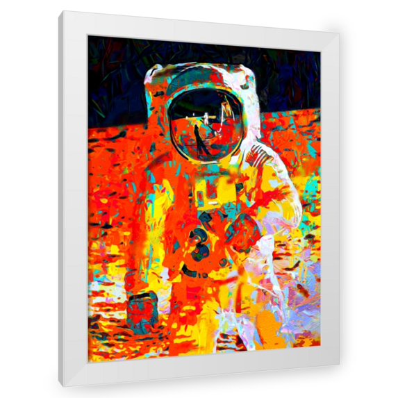 Stephen Chambers 19x24 White Modern Wood Framed Wall Art Titled - Buzz Moon 10