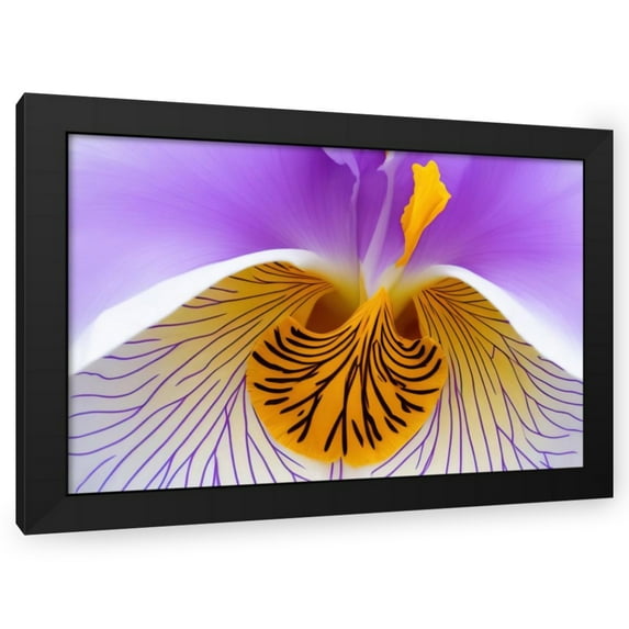 Stephen Chambers 24x17 Black Modern Wood Framed Wall Art Titled - Flower27