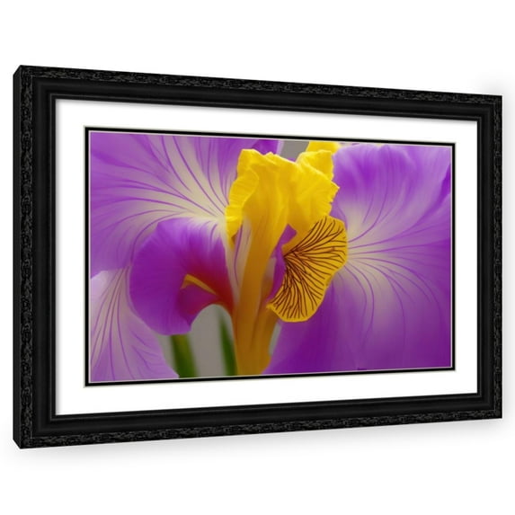 Stephen Chambers 24x17 Black Ornate Wood Framed With Double Matting Wall Art Titled - Flower33