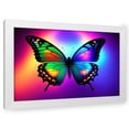thumbnail image 1 of Stephen Chambers 24x17 White Modern Wood Framed Wall Art Titled - Unreal Neon Butterfly, 1 of 6