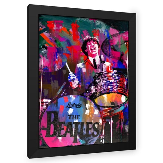 Stephen Chambers 24x32 Black Modern Wood Framed Wall Art Titled - Ringo