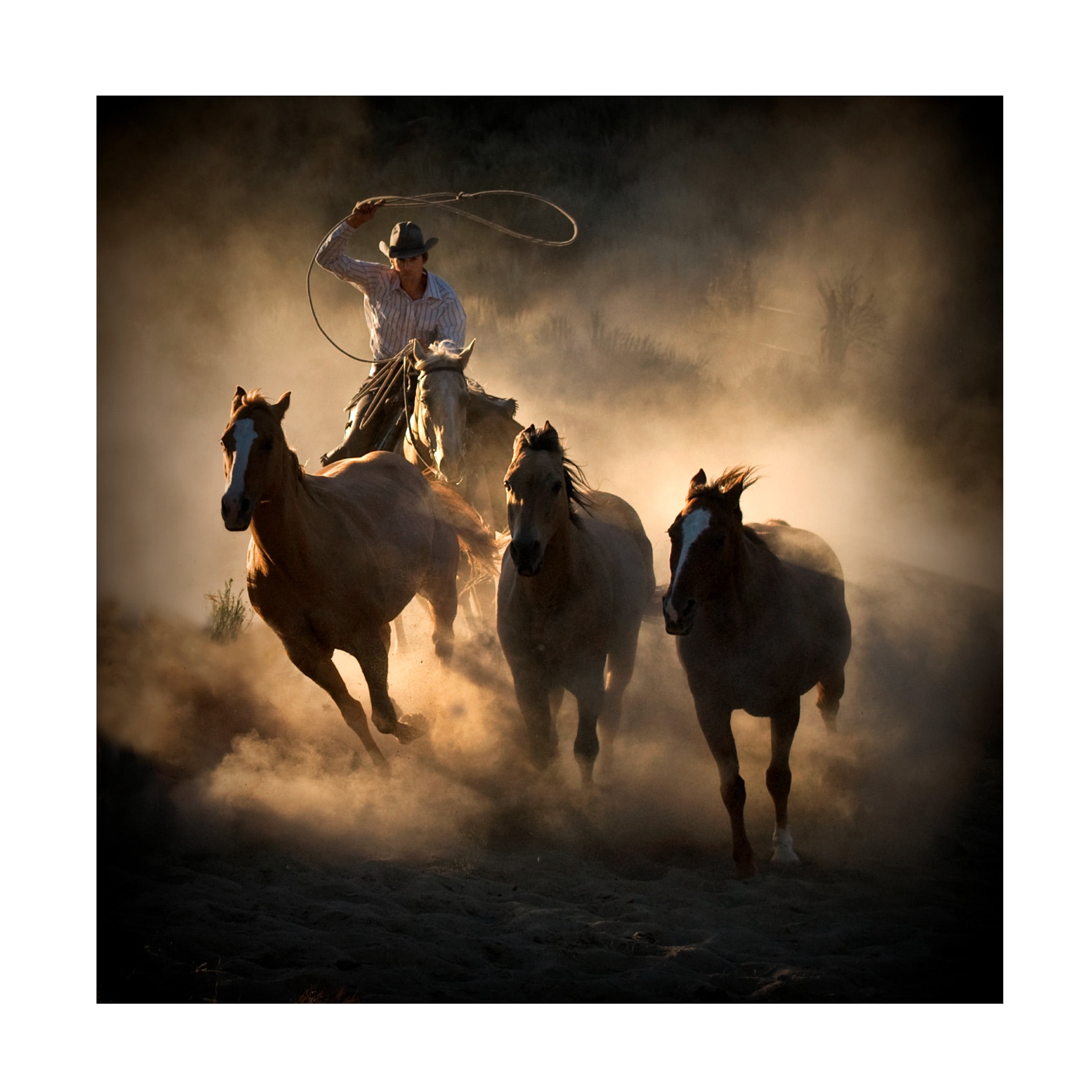 Stephen Rostler 'Roundup' Canvas Art