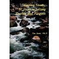 thumbnail image 1 of Stepping Stones: 10 Steps to Seizing Passion and Purpose, (Paperback), 1 of 1