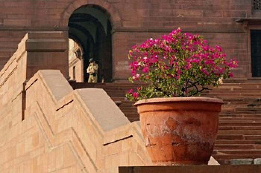 Steps Central Secretariat Raisina Hill New Delhi India Canvas Art - Adam Jones DanitaDelimont (35 x 23)