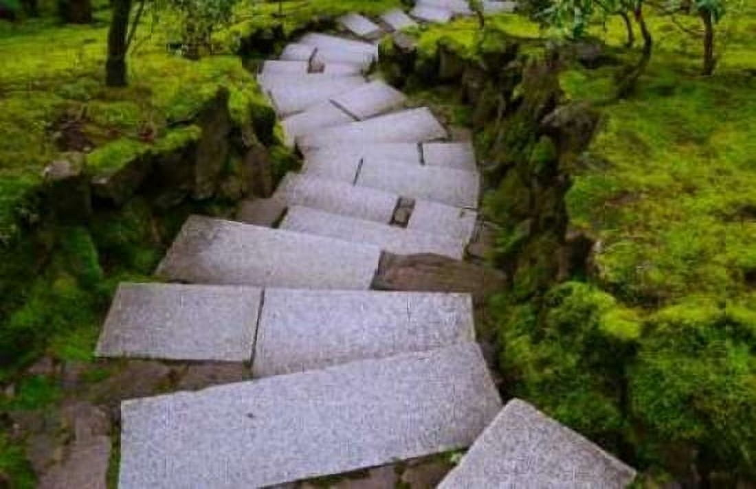 Steps I Canvas Art - Brian Moore (24 x 36)