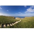 thumbnail image 1 of Steps Leading Over The Grassy Slope To The Water's Edge; South Shields Tyne And Wear England Poster Print, 1 of 2