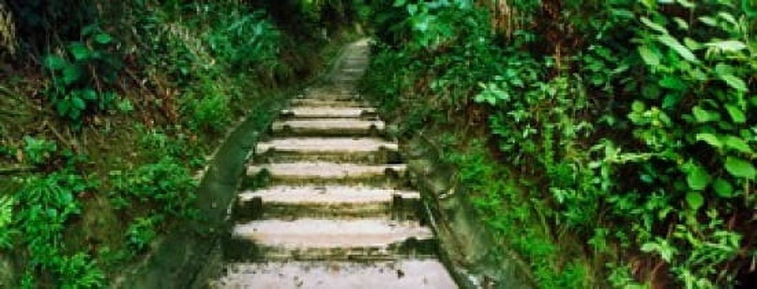 Steps leading to a lighthouse Morro De Sao Paulo Tinhare Cairu Bahia Brazil Canvas Art - Panoramic Images (15 x 6)