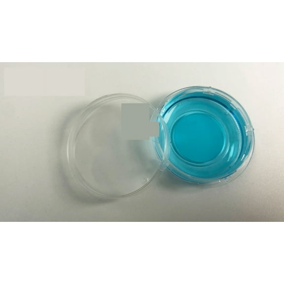 Sterile Glass Bottom Culture Dish 35mm 60mm Glass Bottom Culture Dish