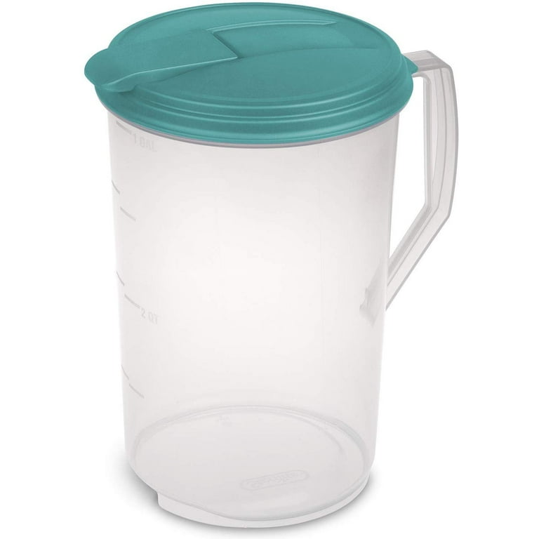 1 Gallon CLEAR Glass Jug with Lid SINGLE
