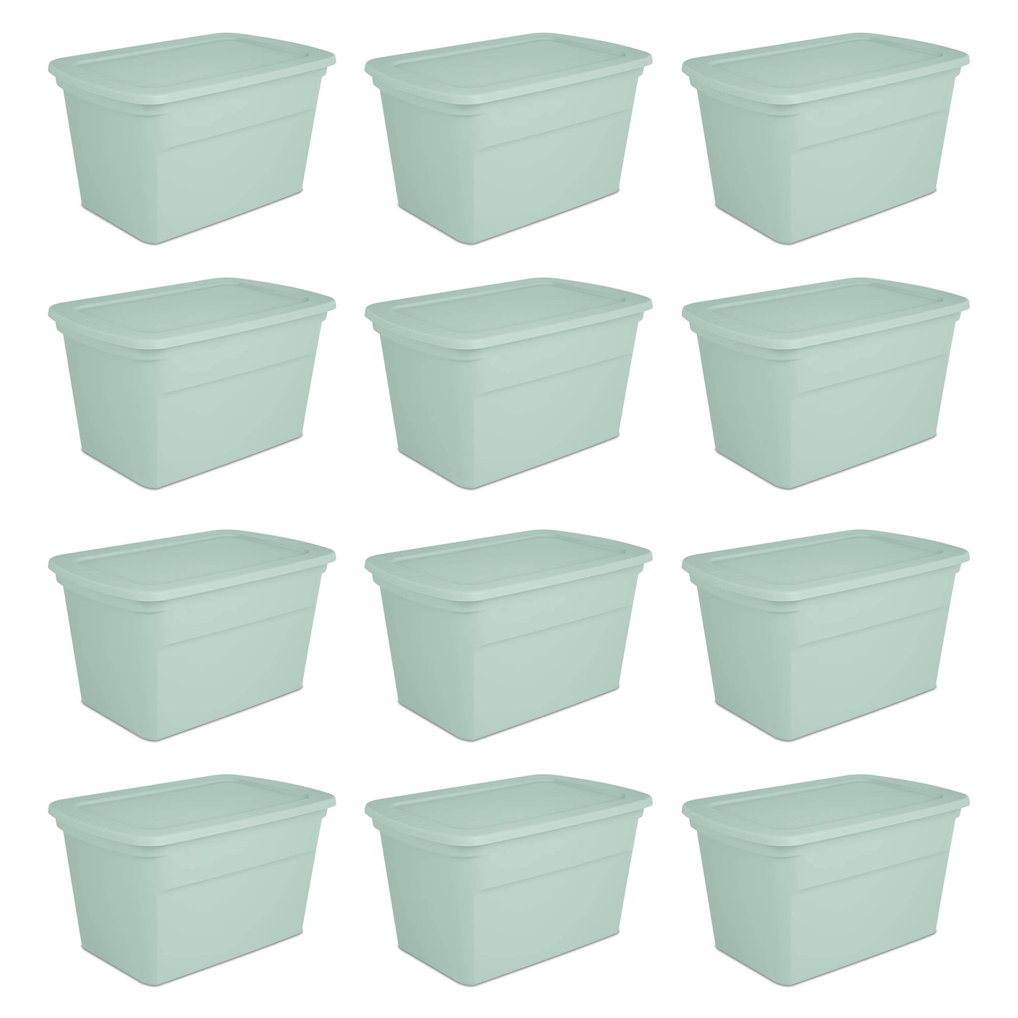 Sterilite 30 Gallon Latch Tote, Plastic Storage with Handles, Mindful ...