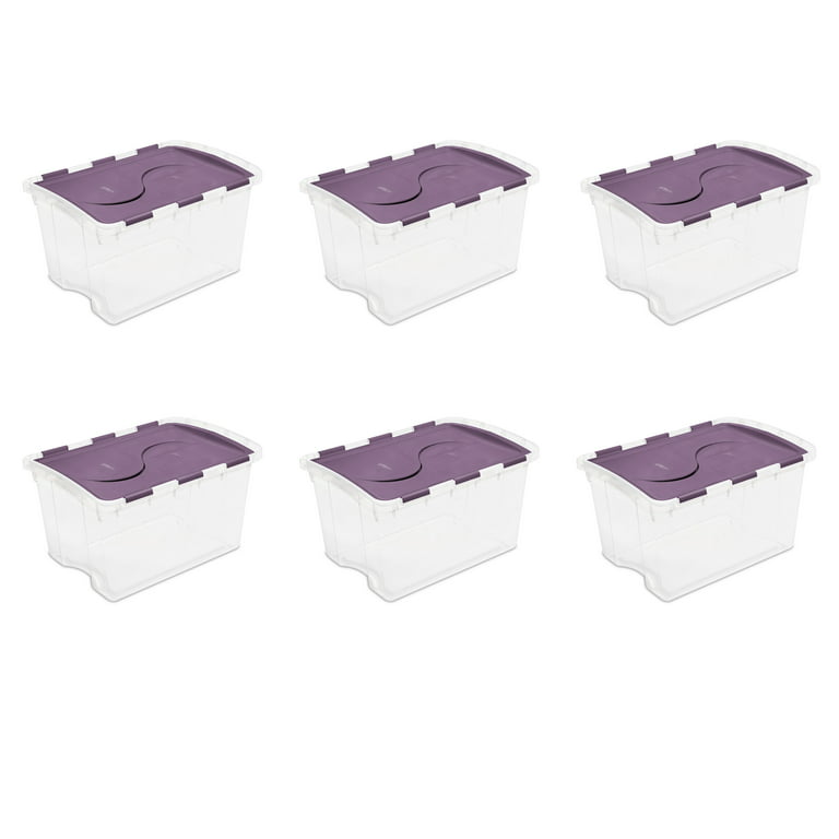 Lilac 4-Quart Woven Storage Basket - Big Lots